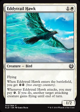 Halcón labraestelas / Eddytrail Hawk