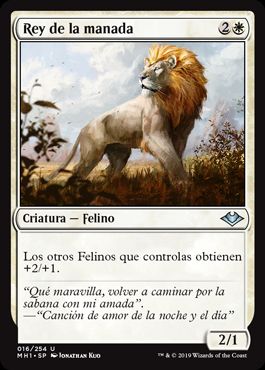 Rey de la manada / King of the Pride