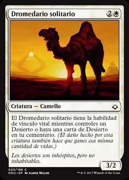 Dromedario solitario / Solitary Camel