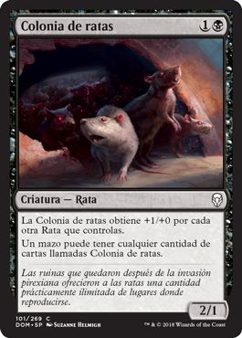 Colonia de ratas / Rat Colony
