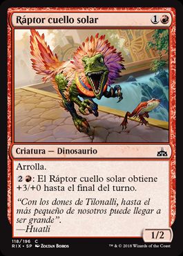Ráptor cuello solar / Sun-Collared Raptor