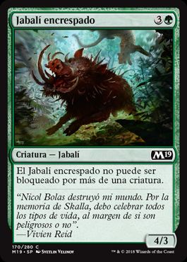 Jabalí encrespado / Bristling Boar