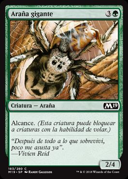 Araña gigante / Giant Spider