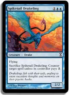 Draco joven colapua / Spiketail Drakeling