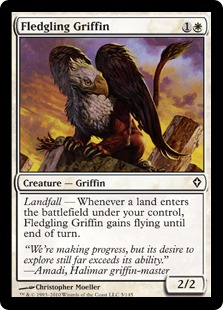 Grifo novato / Fledgling Griffin