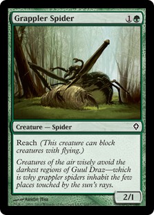 Araña forcejeadora / Grappler Spider