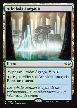 Arboleda anegada / Waterlogged Grove
