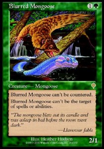Mangosta Borrosa / Blurred Mongoose