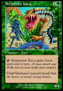 Kavu Serpentino / Serpentine Kavu