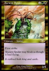 Araña Antigua / Ancient Spider