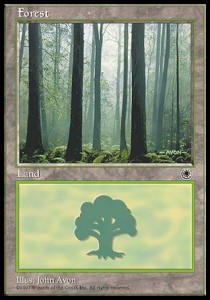 Bosque / Forest v.3