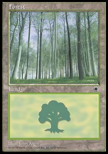 Bosque / Forest v.4