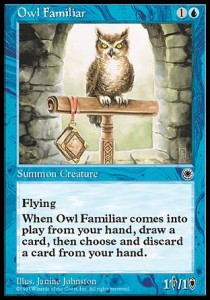 Búho familiar / Owl Familiar