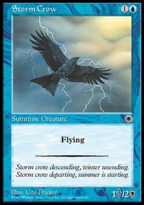 Cuervo de la tempestad / Storm Crow