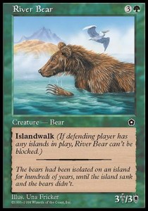 Oso de rio / River Bear