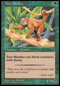Mono de los arboles / Tree Monkey