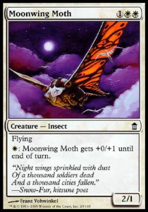 Polilla ala lunar / Moonwing Moth
