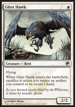 Halcón brillante / Glint Hawk
