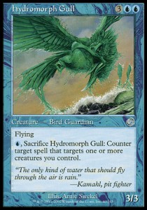 Gaviota Hidromorfa / Hydromorph Gull