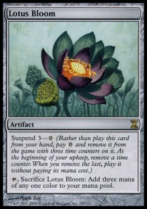 Flor de Loto / Lotus Bloom