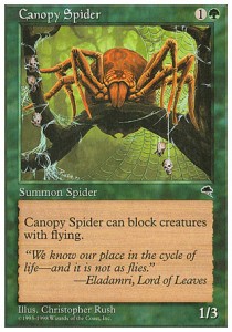 Araña de la enramada / Canopy Spider