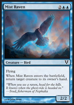 Cuervo de niebla / Mist Raven