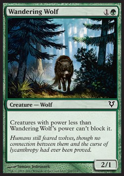 Lobo errante / Wandering Wolf