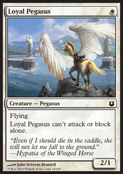 Pegaso fiel / Loyal Pegasus