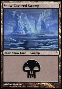 Pantano nevado / Snow-Covered Swamp