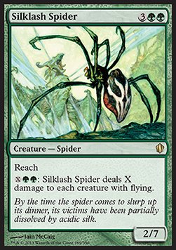 Araña azotaseda / Silklash Spider