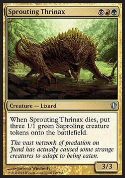 Thrinax germinante / Sprouting Thrinax