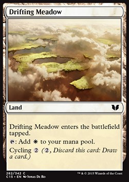 Pradera a la deriva / Drifting Meadow