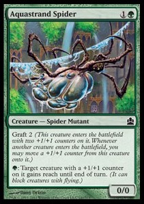 Araña aquatela / Aquastrand Spider