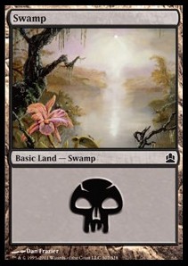 Pantano / Swamp Nº307