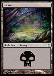 Pantano / Swamp Nº309