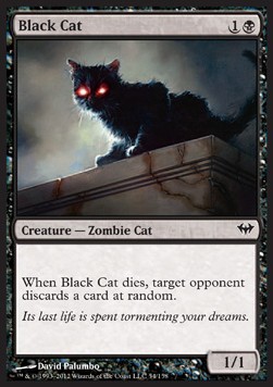 Gato negro / Black Cat