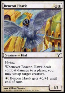 Halcon de almenara / Beacon Hawk