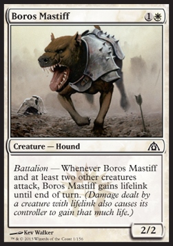 Mastín boros / Boros Mastiff