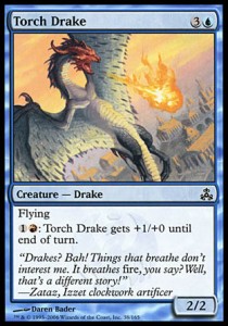Draco de antorcha / Torch Drake