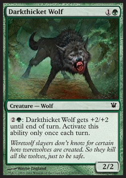 Lobo de maleza oscura / Darkthicket Wolf