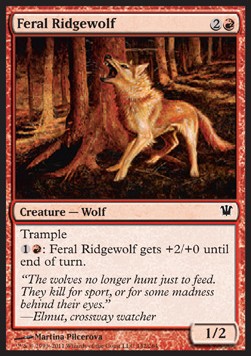 Lobo montañoso salvaje / Feral Ridgewolf