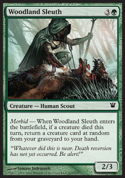 Investigadora del bosque / Woodland Sleuth