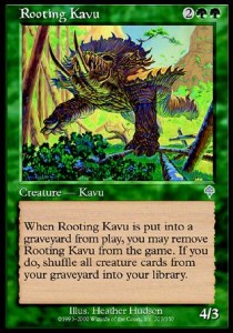 Kavu Hozador / Rooting Kavu