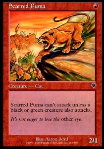 Puma Marcado / Scarred Puma