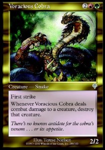 Cobra Voraz / Voracious Cobra