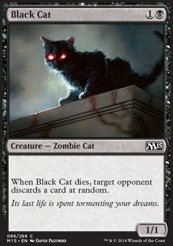 Gato negro / Black Cat
