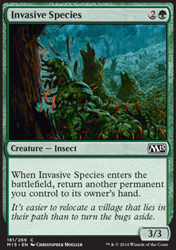Especies invasoras / Invasive Species