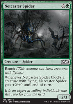 Araña lanzatelas / Netcaster Spider