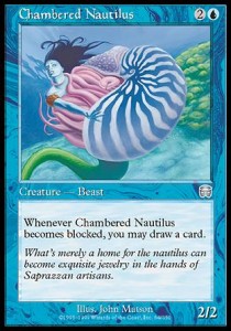 Nautilo acorazado / Chambered Nautilus