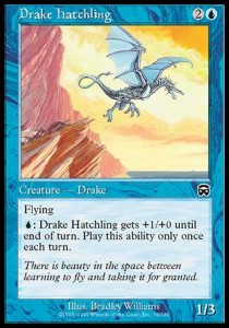 Cria de draco / Drake Hatchling